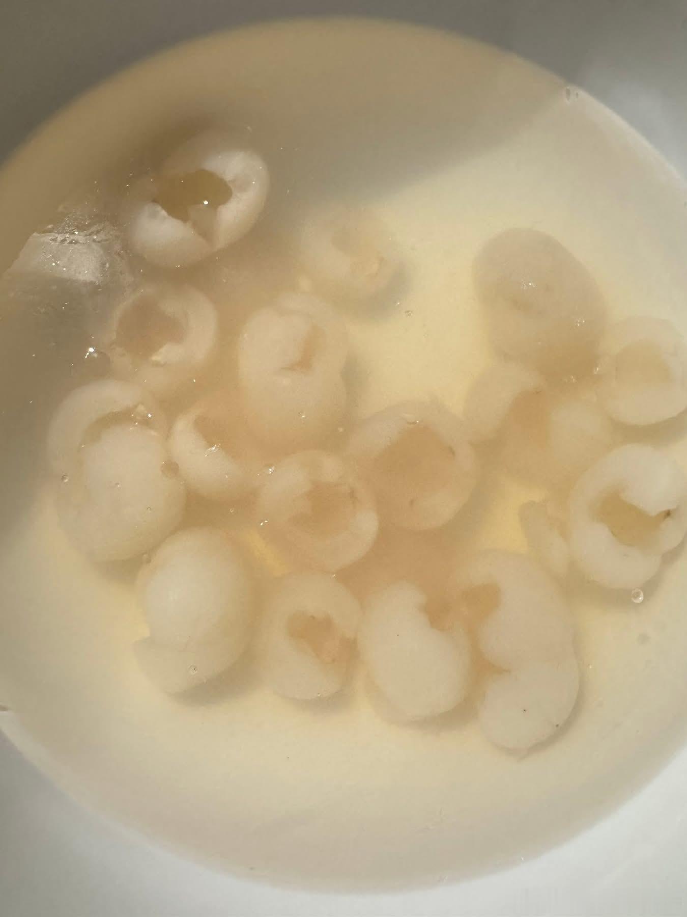 推荐夏天的抹茶，原生兰花可遇不可求，一个夏天挂了四盘，买不回来了连照片都没拍，就