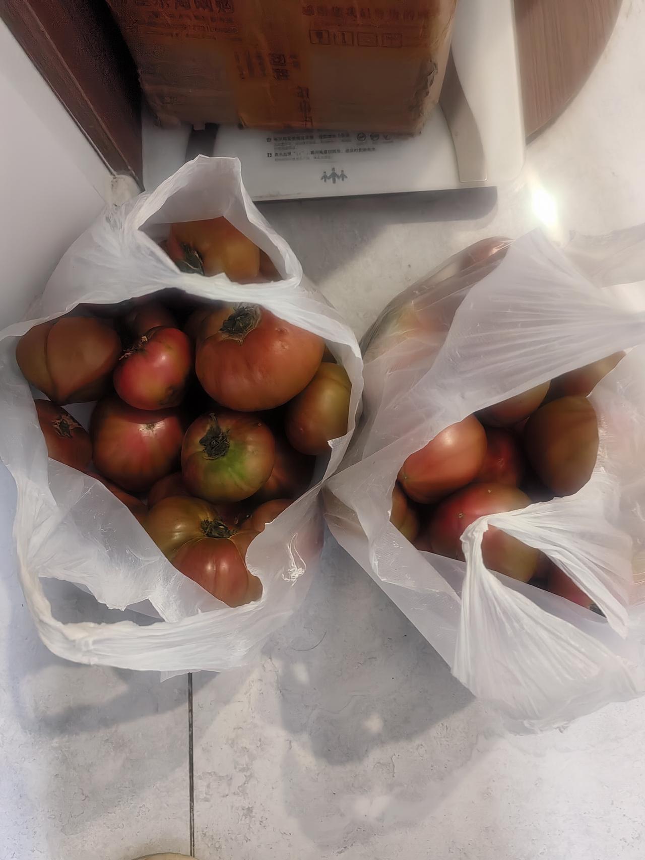 八点十分，老两口刚吃完晚饭。这老头，还立起了深情人设，我不回家，他把饭做熟了，他