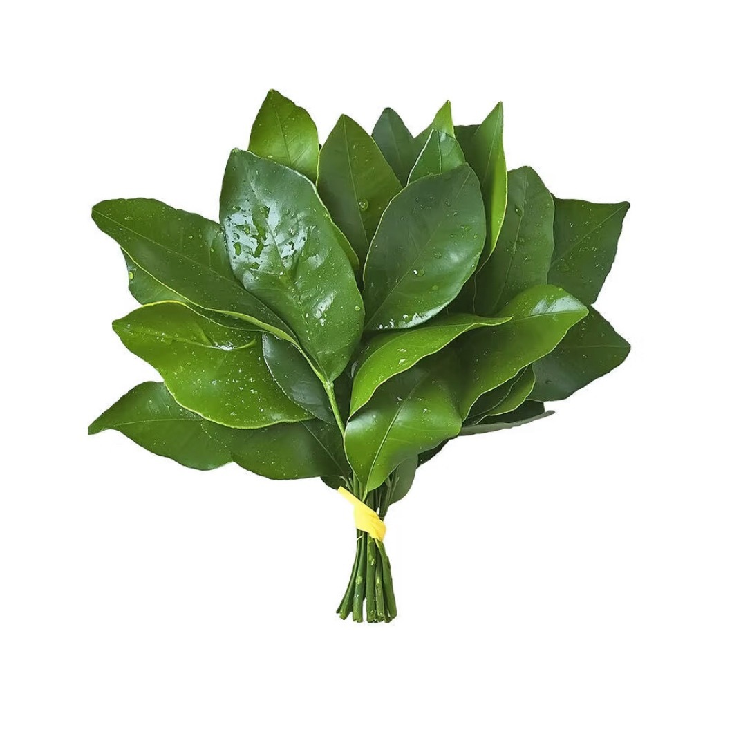 赶紧给我马马去去晦气