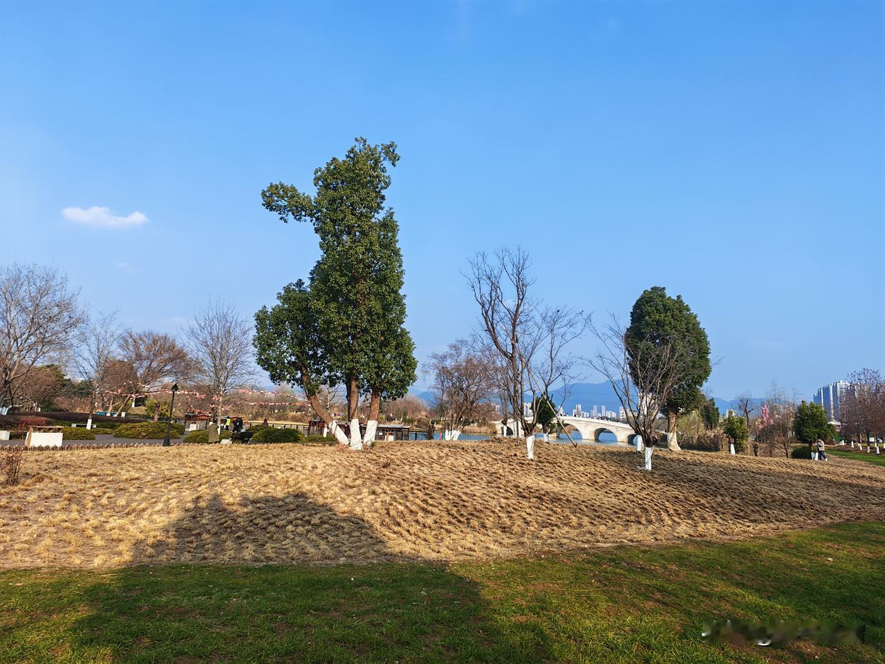 有人问我：村里第一次募捐修路你为什么不捐？还说这是造福村民的事情，应该踊跃捐款。