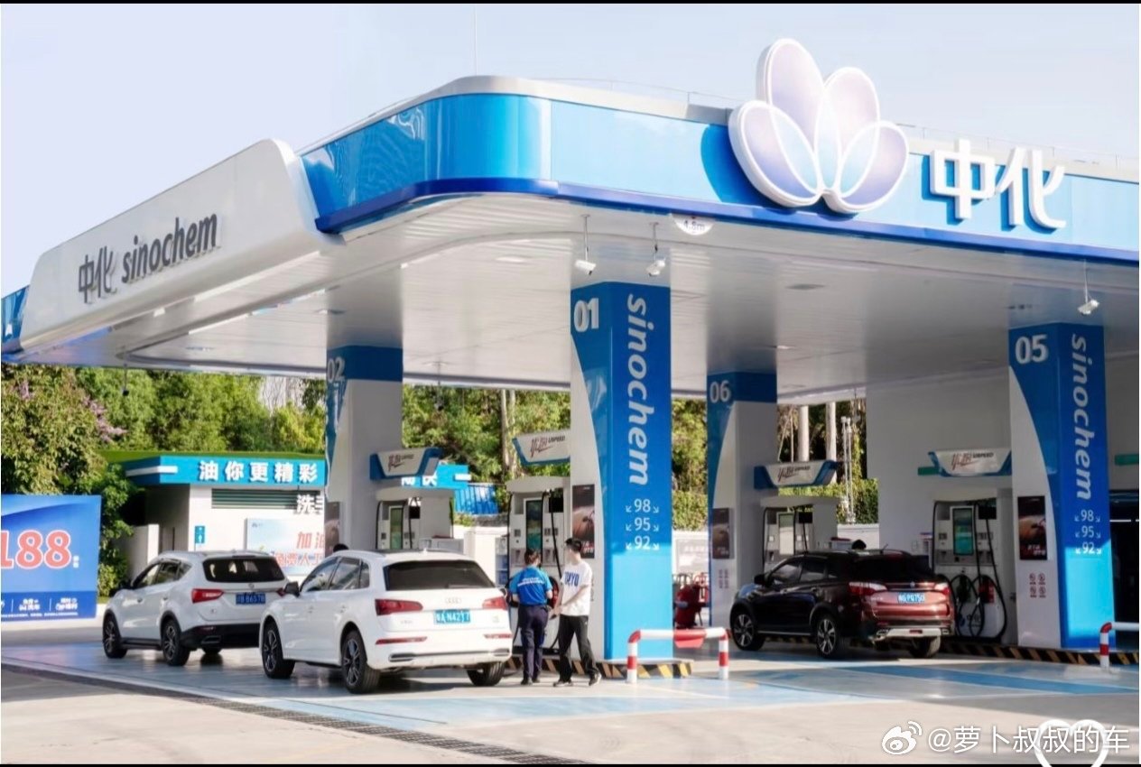 中园石化加油站被立案调查 从中国到中园，这太过分了，绝对有抄袭擦边的嫌疑。我之前