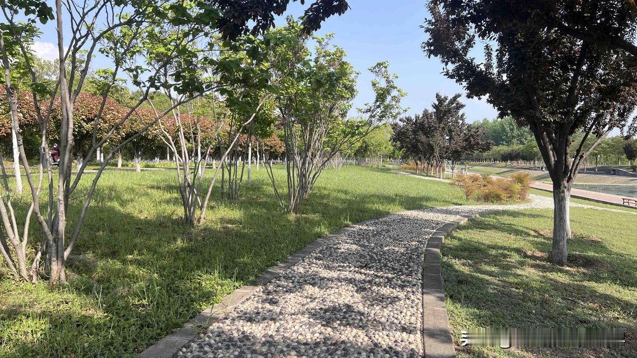 平顶山新城区，一个非常适合露营的地方，人少环境好，临水好停车，适合周末闲坐烧烤。