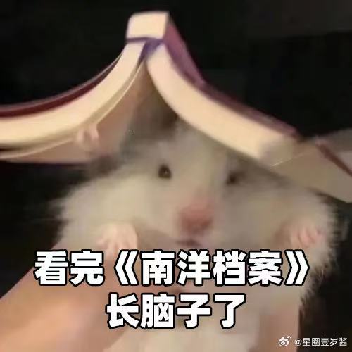 南部档案电子生腌剧集南部档案 峇来神像让人越看越着迷，《南部档案》完美诠释什么是