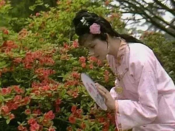 宝钗扑蝶是红楼梦中的一个名场面，各版演员都呈现出了不同的表现方式，张莉版无疑是最