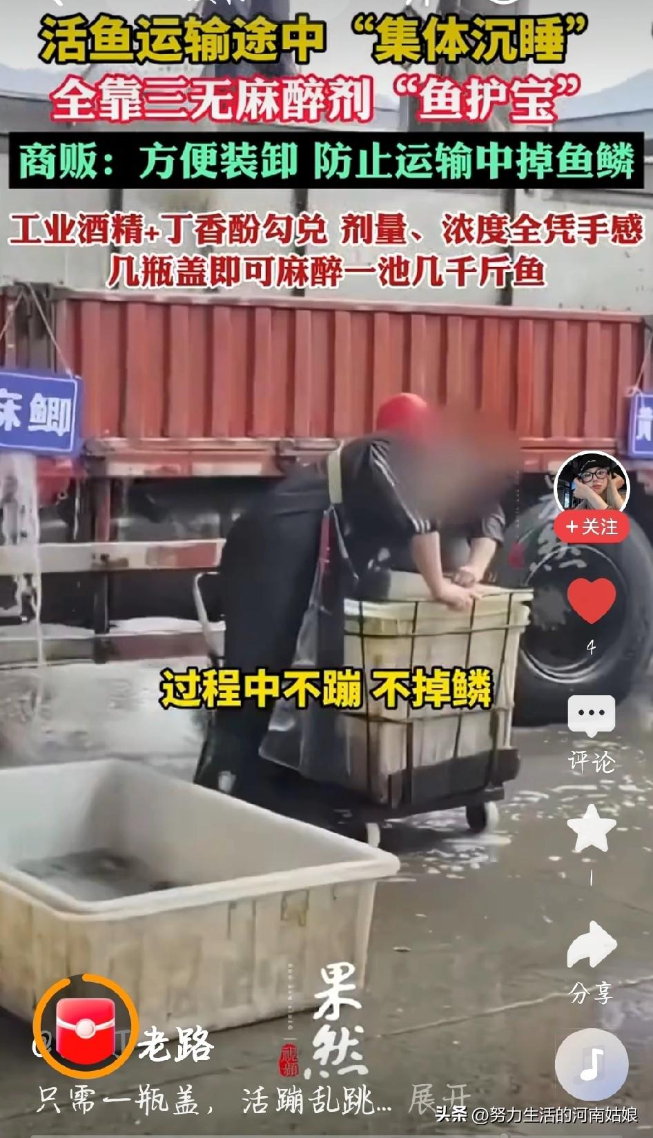 太缺德！活鱼被灌麻药端上桌，你吃的可能是“毒鱼”！
 
央视曝光！市场上不少活鱼