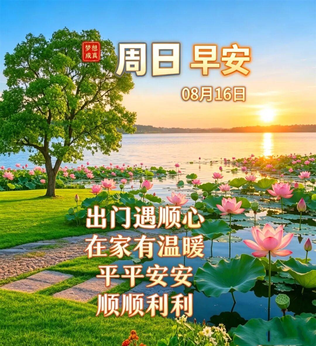 🍂🍂🍂腐烂的苹果，你不去动它，自己就会自然从树上跌落下来，就会摔得稀巴烂；