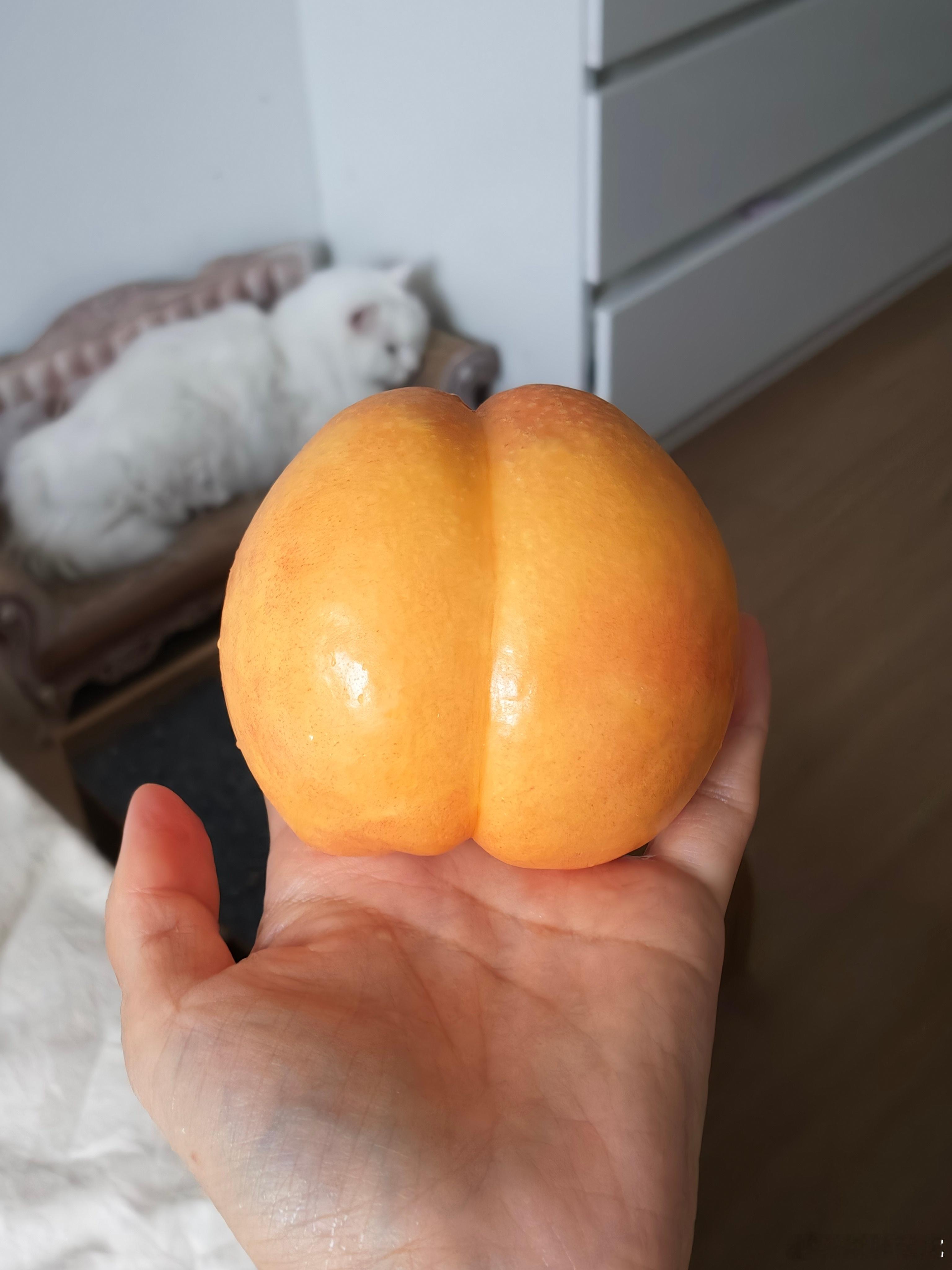 你看这个屁股（划掉）桃子多周正