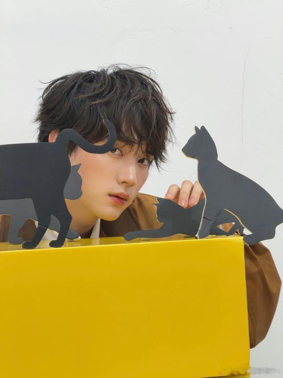 周翊然卷毛小狗周翊然直播 周翊然直播换狗狗卷新风格，蓬松卷毛超减龄，可爱模样让人