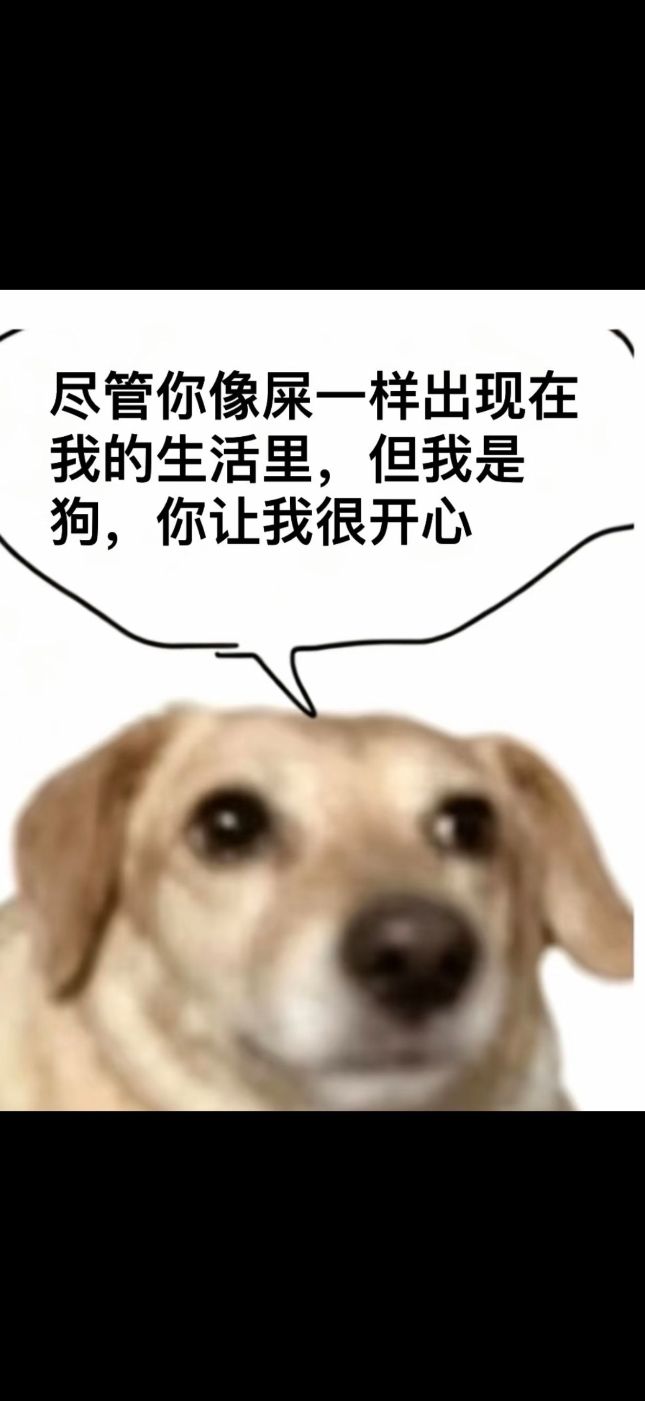 男人永远是宝宝 和炎哥约会碰上萨满，萨满让我明年生孩子，不然2031年会婚变。我