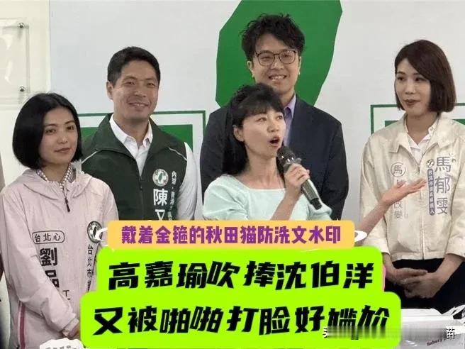 高嘉瑜又出洋相好尴尬！吹沈伯洋选情像《龙卷风》会让蒋万安“来不及逃”？殷玮一句歌