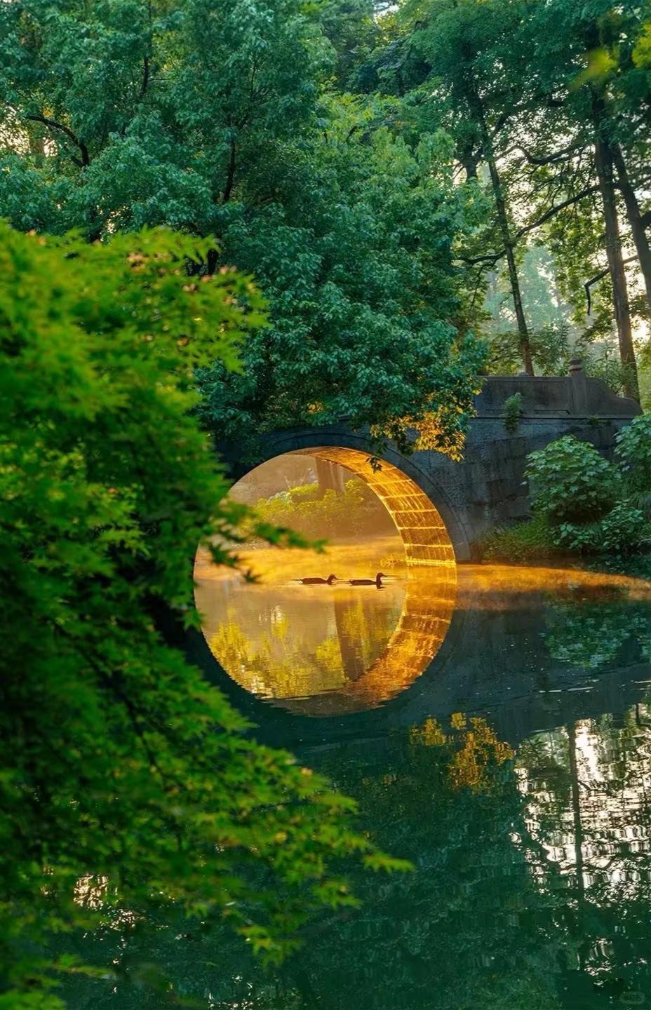 分享一下你随手拍下的照片