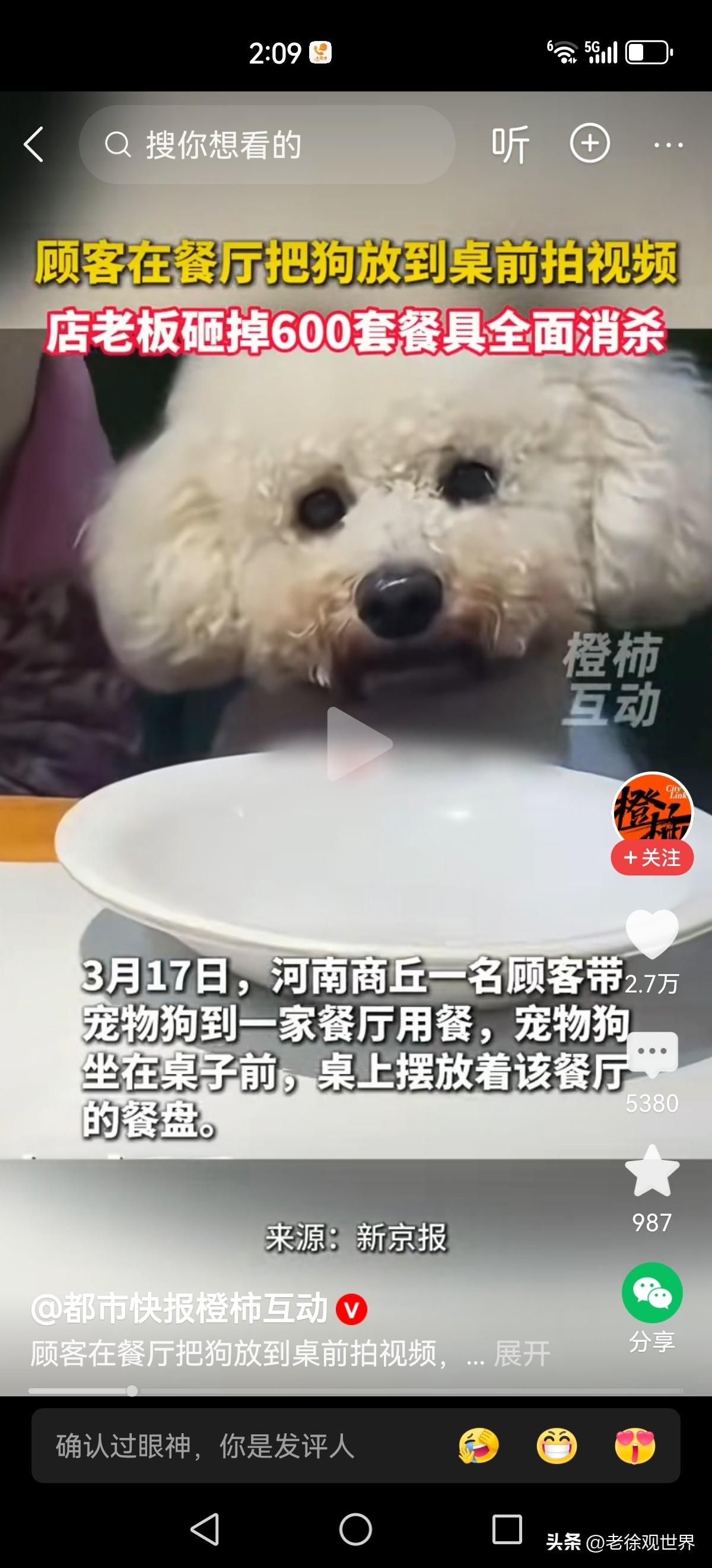 不管什么时候，人就是人狗就是狗。为了拍视频秀不同，竟然把狗子带去餐桌前就餐！那可