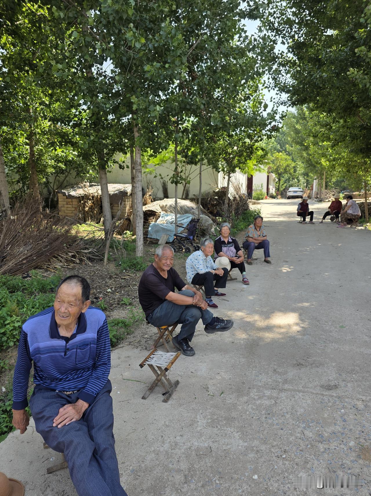 今天上午给老太太们安排了工作，大家在嘻嘻哈哈中愉快地接受……

现在正是收割小麦