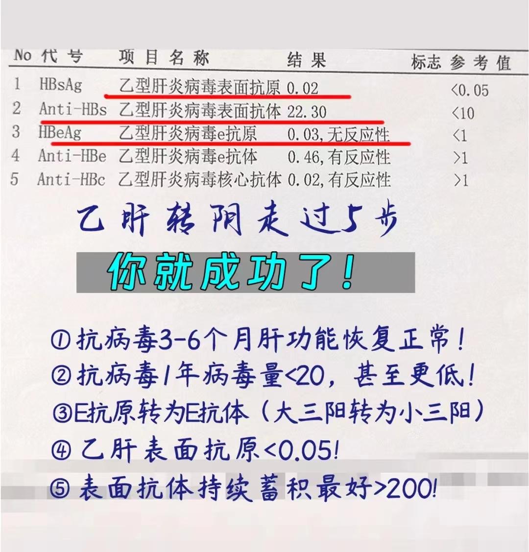 乙肝转阴走过5步，你就成功了！。①抗病毒3-6个月肝功能恢复正常！
②抗病毒，年病毒量<20，甚至更低！
③E抗原转为E抗体（大三阳转为小三阳）
④表面抗原<0.05!
⑤表面抗体持续蓄积最好>200!