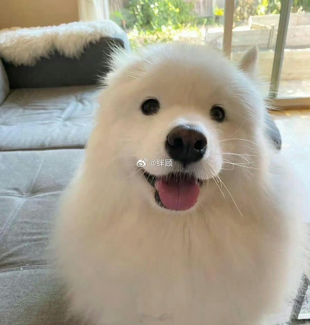 点点我，明天顺利！ 