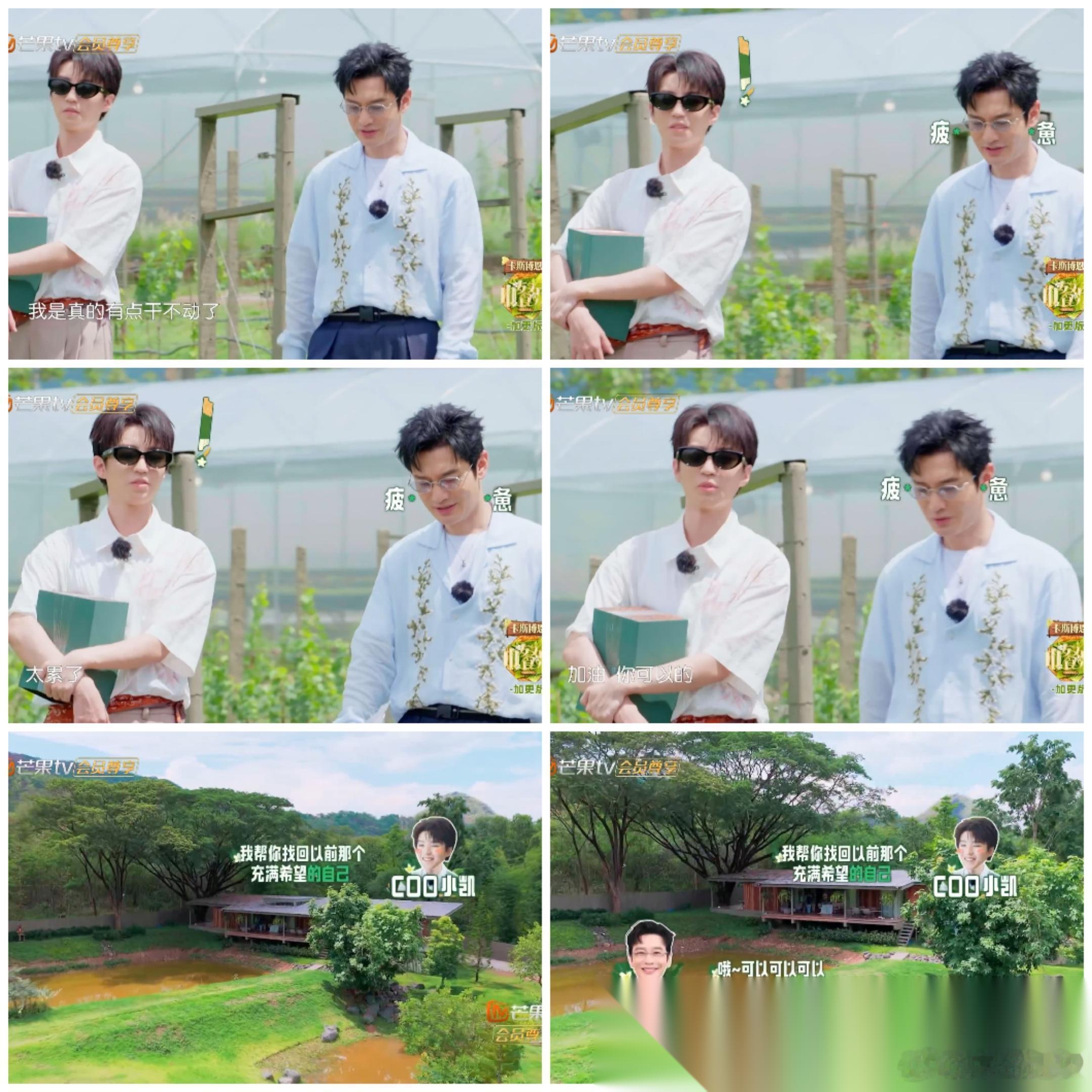 黄晓明萌生退意 想不干都不行， 以为芒果台准备捧王俊凯“上位”。 这个节目已经有