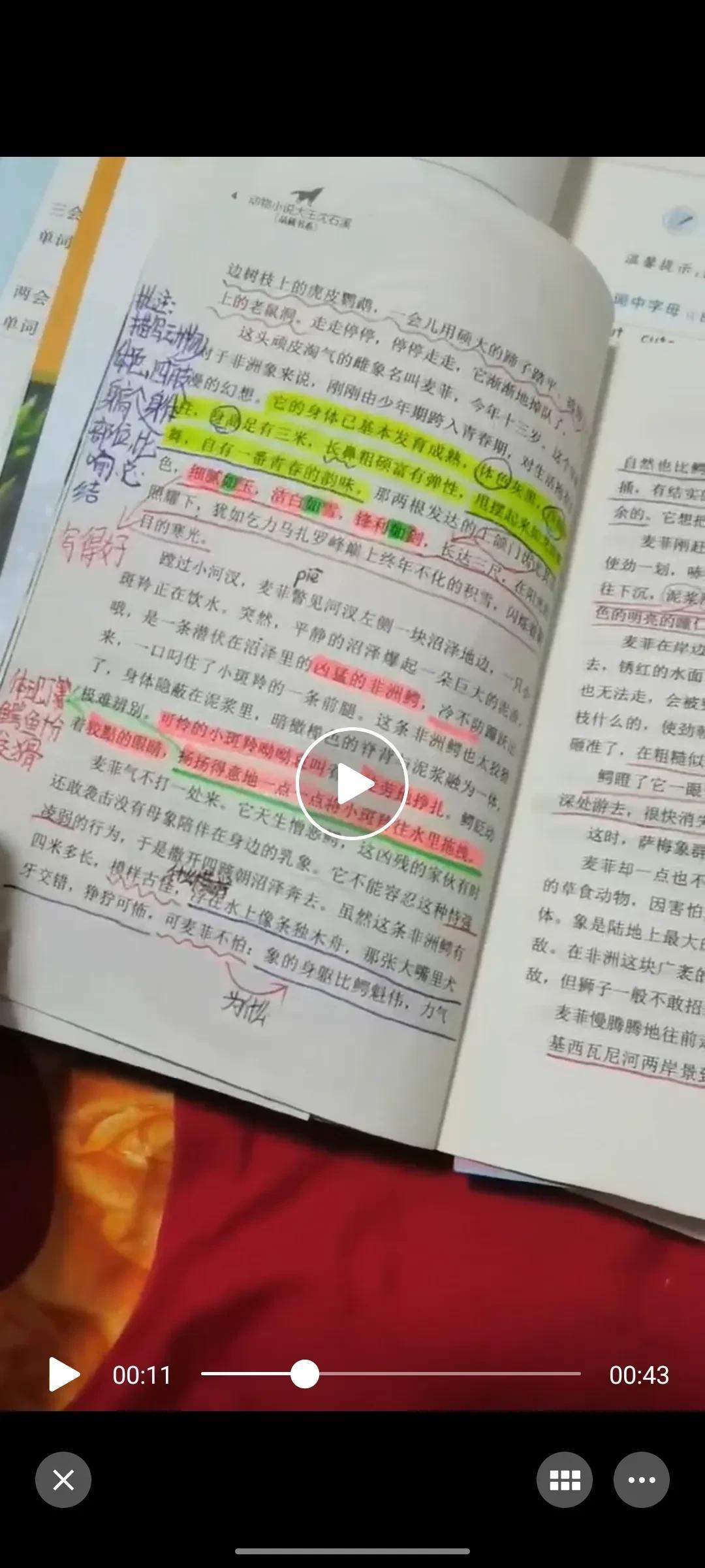 又被别人家的娃惊艳到了！
这是一个河南娃，跟我家娃同龄，也是4年级，之前因为英语