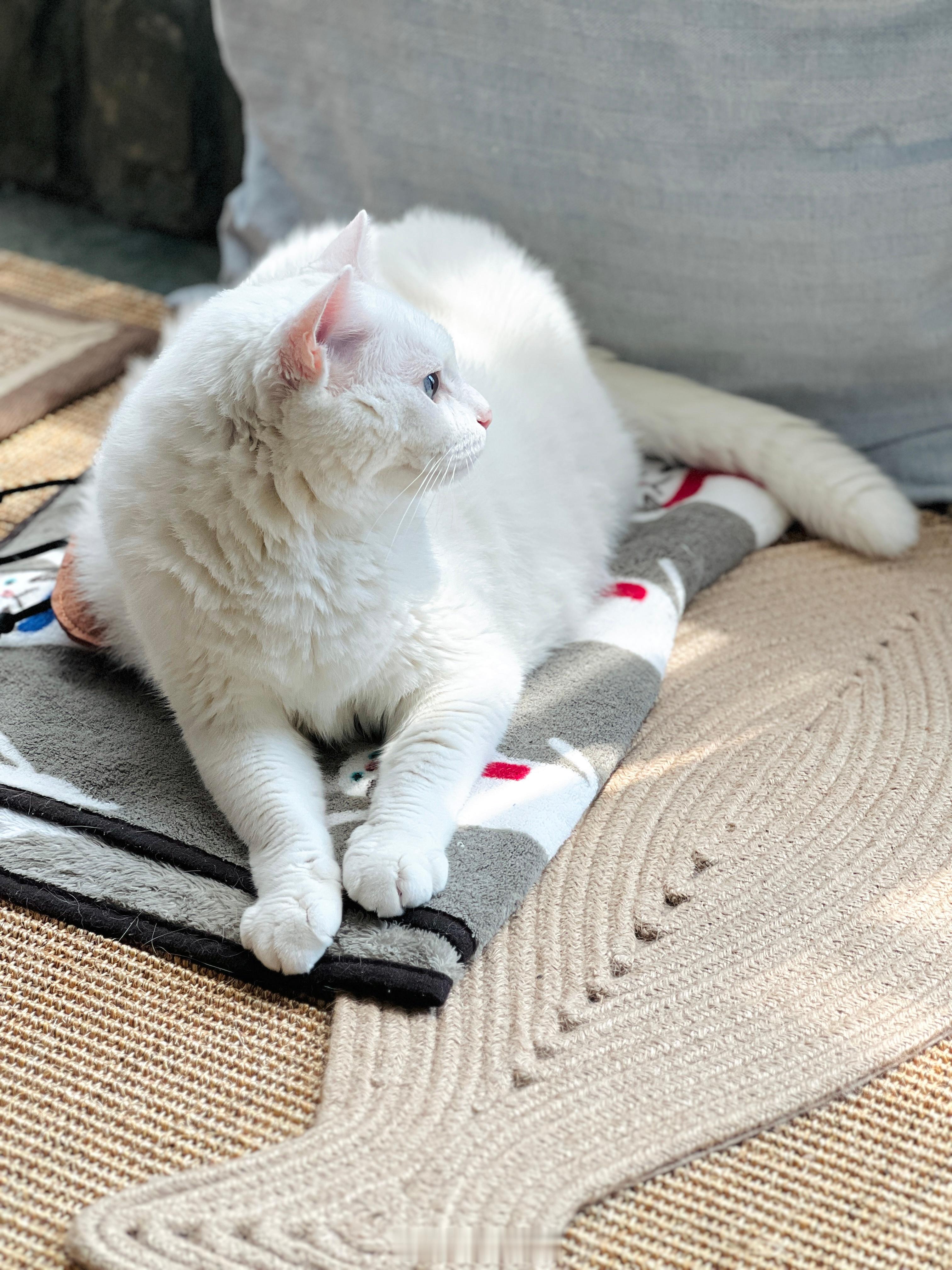 熱炸了～～做好防暑🪴💦 ​​​