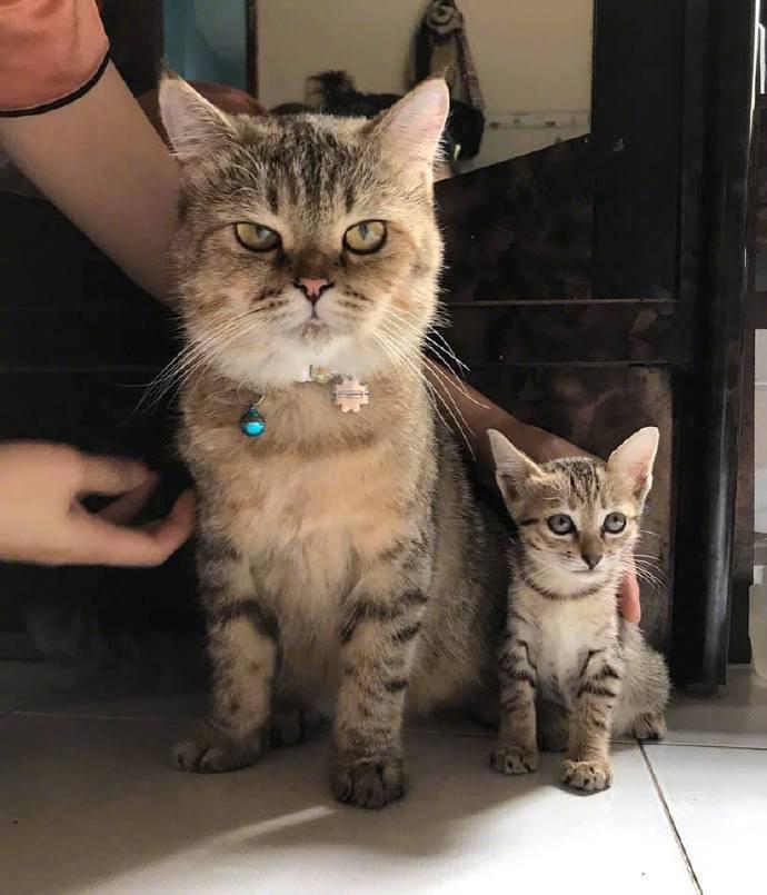 麻麻，拍照勒，开心一点，别这么严肃
好...