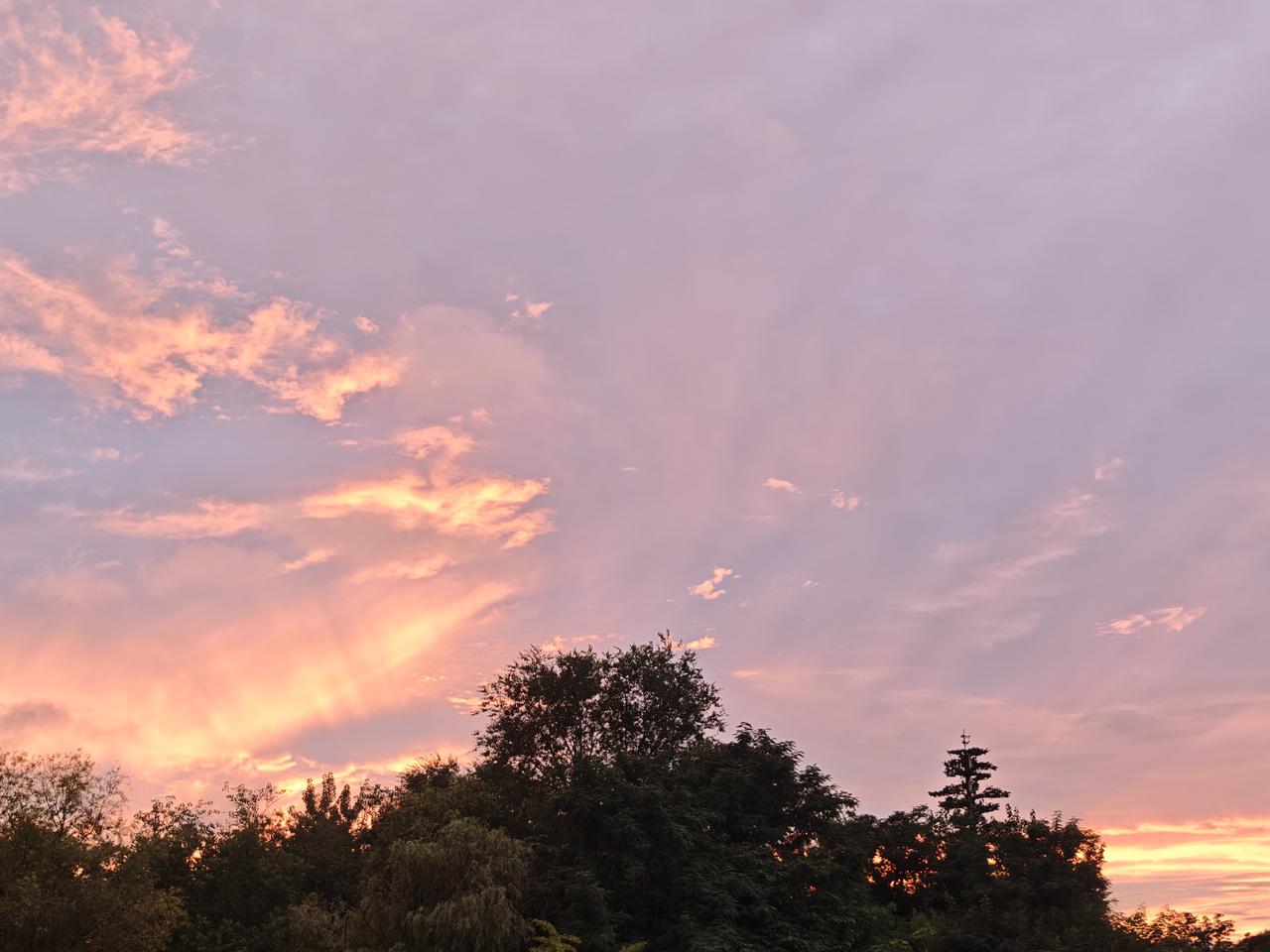 《忆江南·雨见夕阳》
濛濛雨，流水伴人忙。
不向浮云争去处，偏余清气对残阳。
何