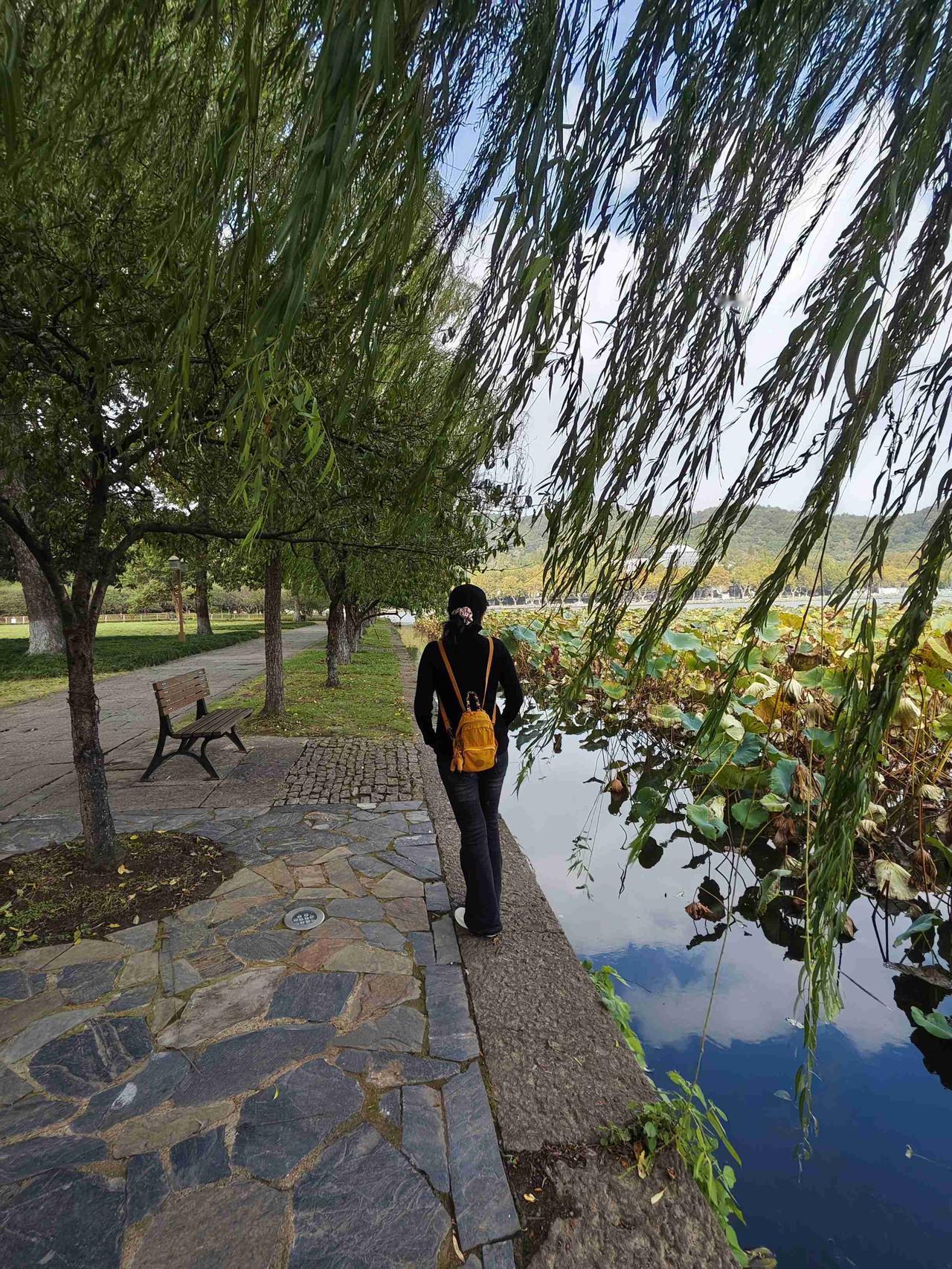 我的今日状态：😁轻松愉快
我这里的天气：☁️阴天

初冬的西湖依旧杨柳飘飘，湖