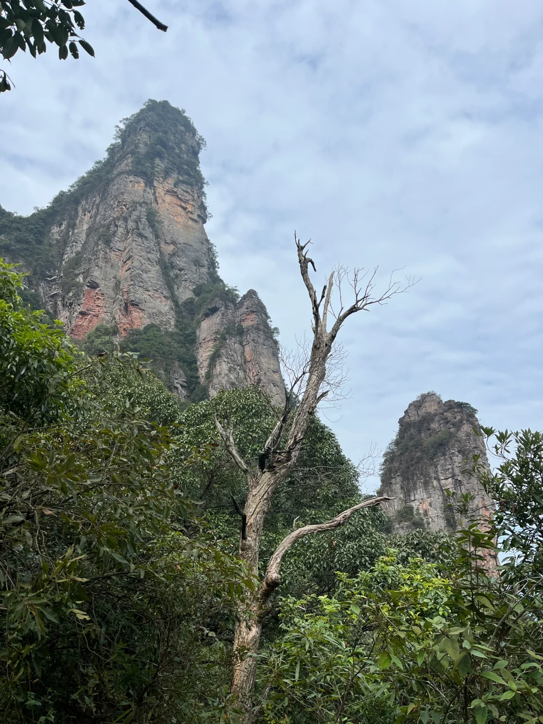 大瑶山