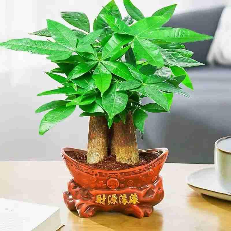 上班时间发发呆！
带定位晒今日生活
我的今日状态：😁轻松愉快
我这里的天气：☀