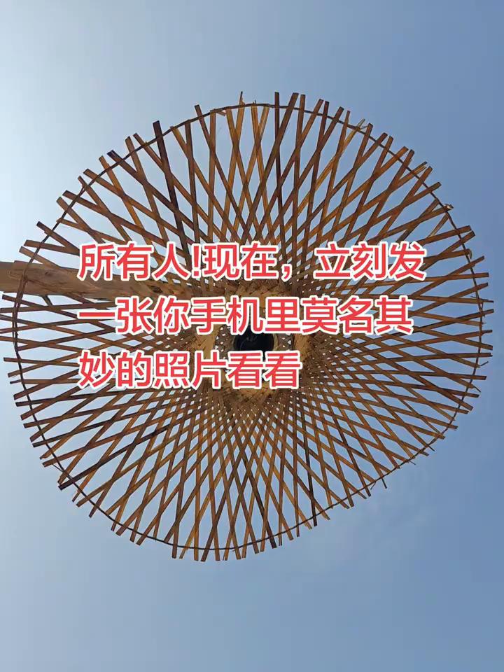 所有人，现在立刻发张你手机里莫名其妙的照片看看。