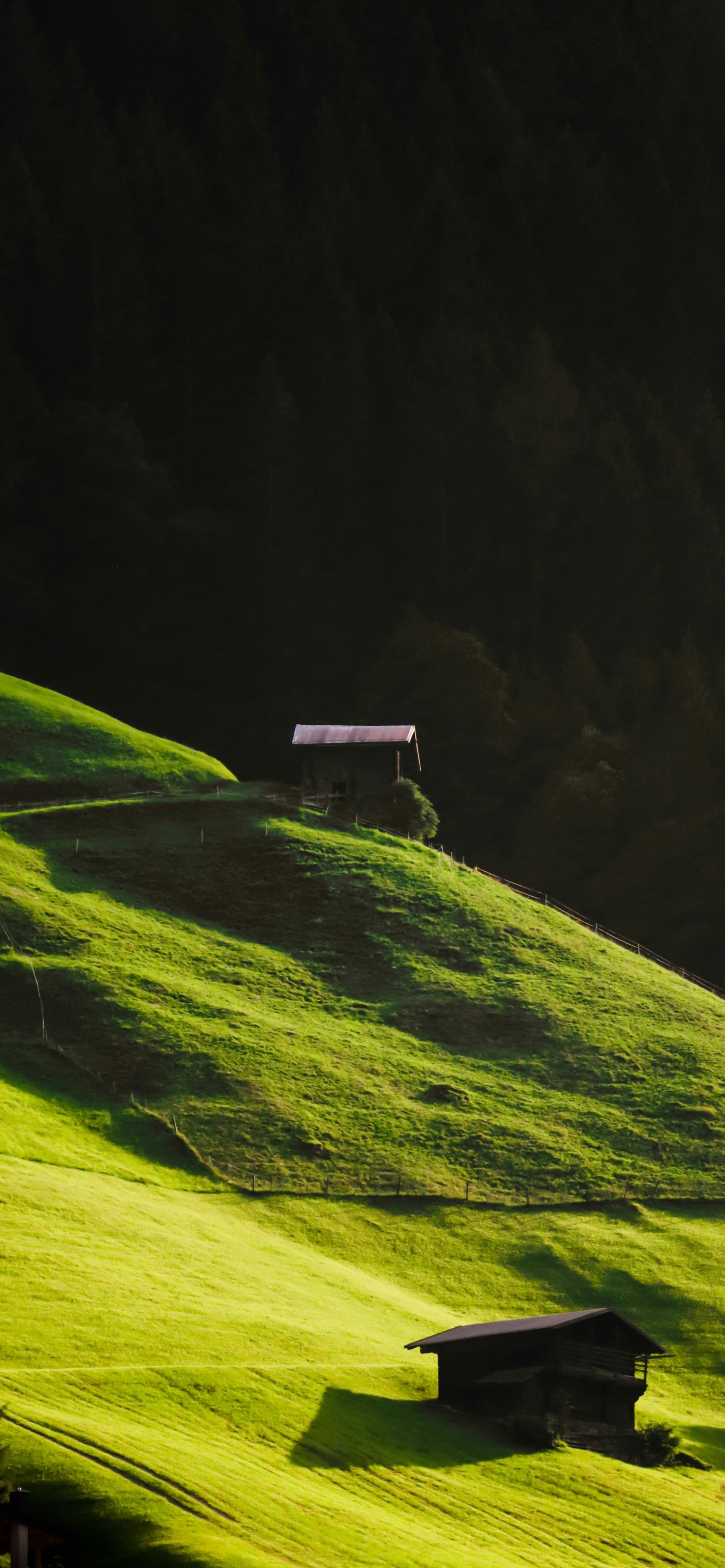 风景壁纸 早啊[太阳] ​​​