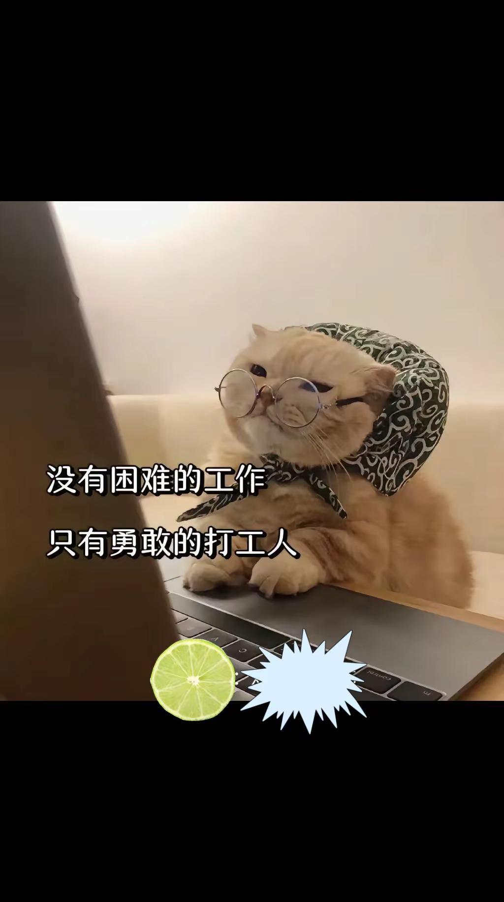 未脱贫打工不能停 加油！打工人！