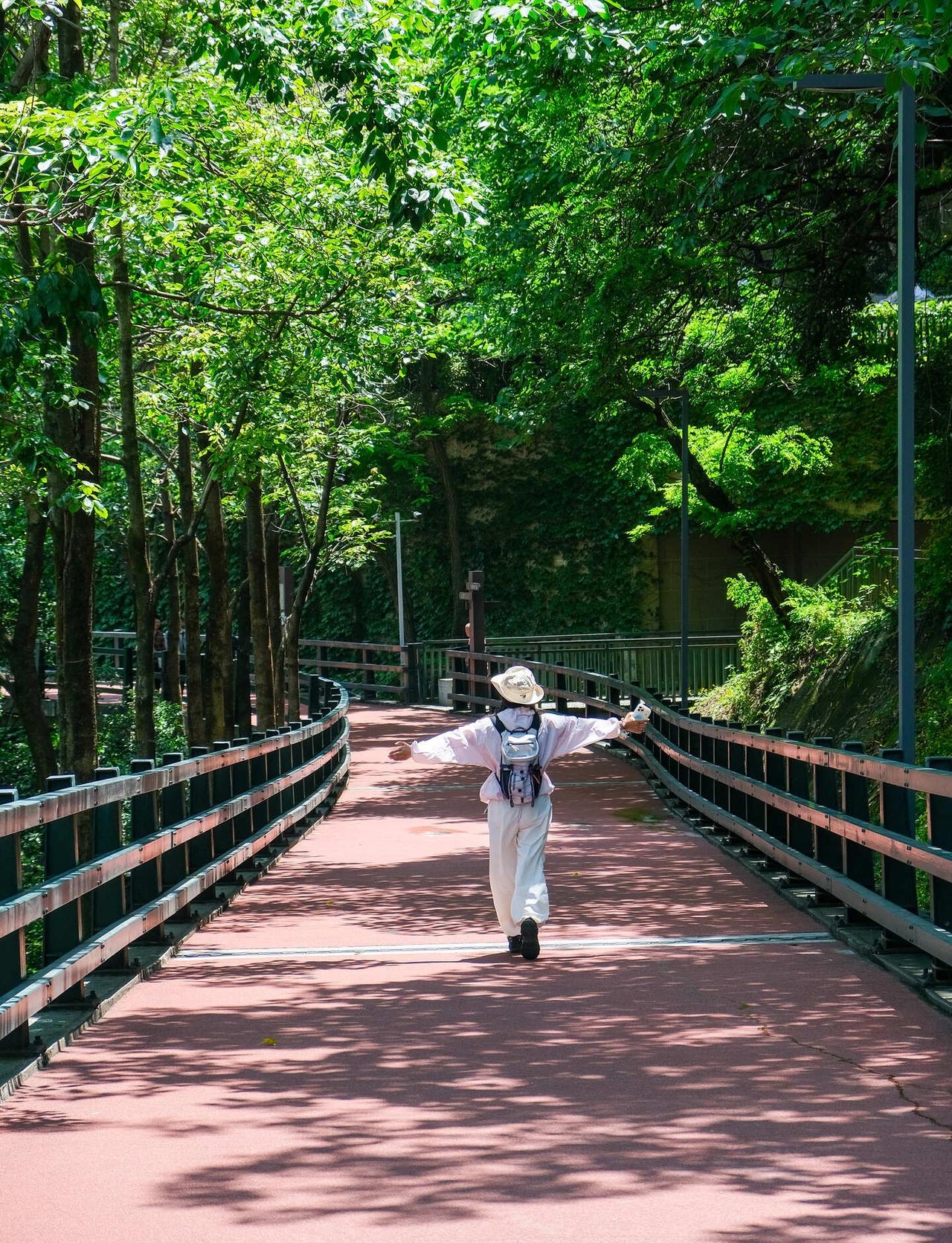 我好喜欢初夏的半山崖线（10公里全程攻略）
💚我的一百条散步路线17/100