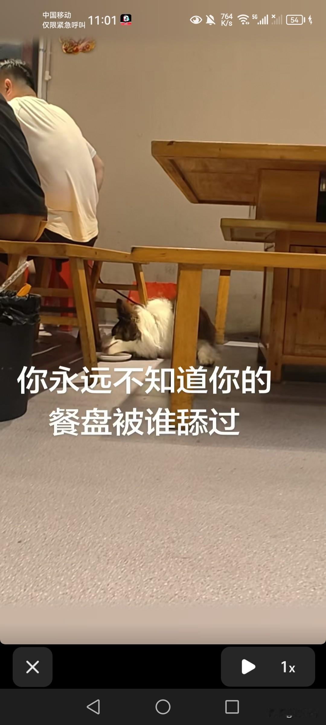 重庆一家餐馆又惊现狗舔餐盘事件！老板得知后怒砸所有餐具。

5月24号，有网友发