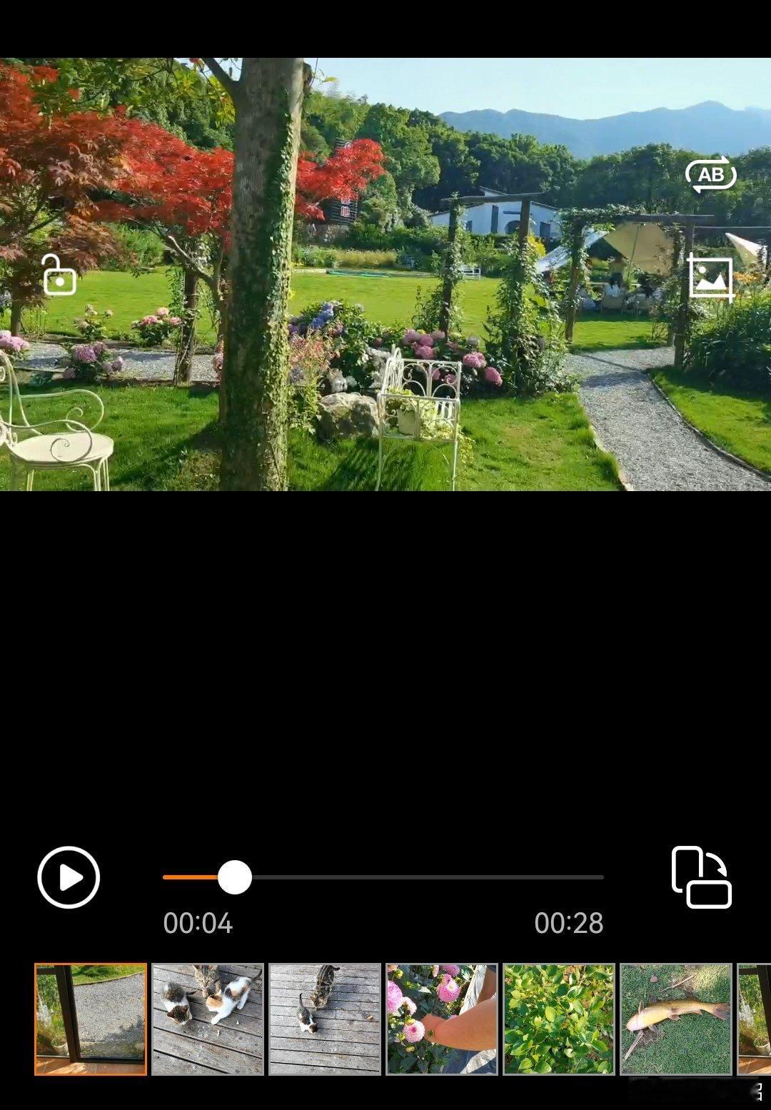 我表姐的表妹租了一亩地，然后改建成了山间花园，真的巨无敌牛逼[苦涩][苦涩][苦