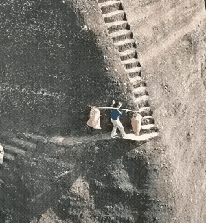 天呐！这女的胆子也太大了吧！