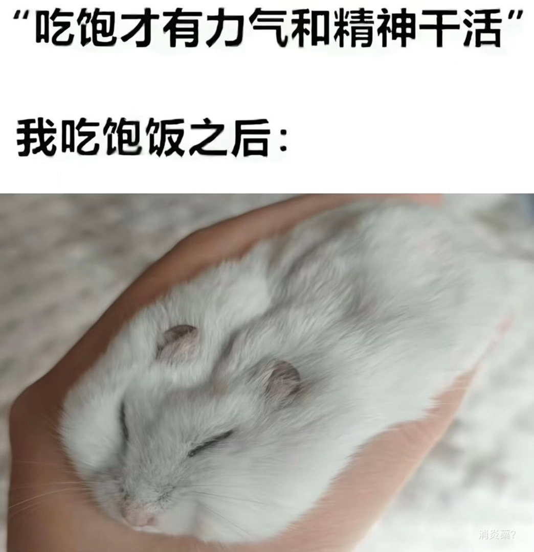 晕碳的人今日memesfunny memememe