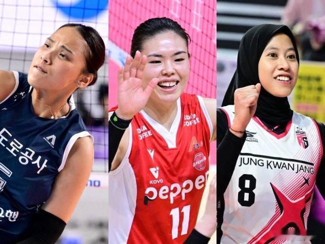 国际排坛动态韩国女排韩国女排V联赛亚洲外援制度变更及球员动向【塔娜查、岛村续约可