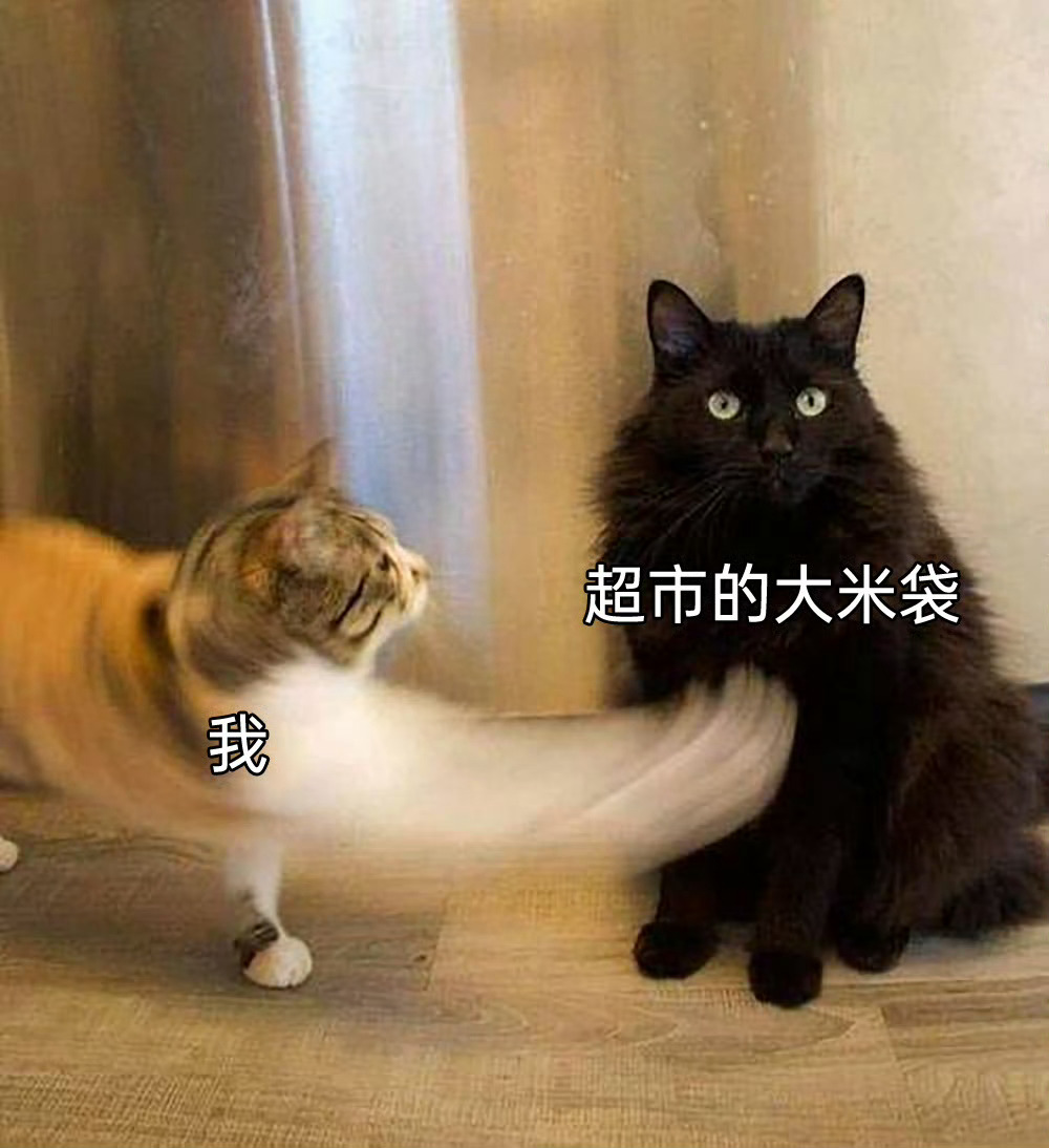 我就这样手贱meme