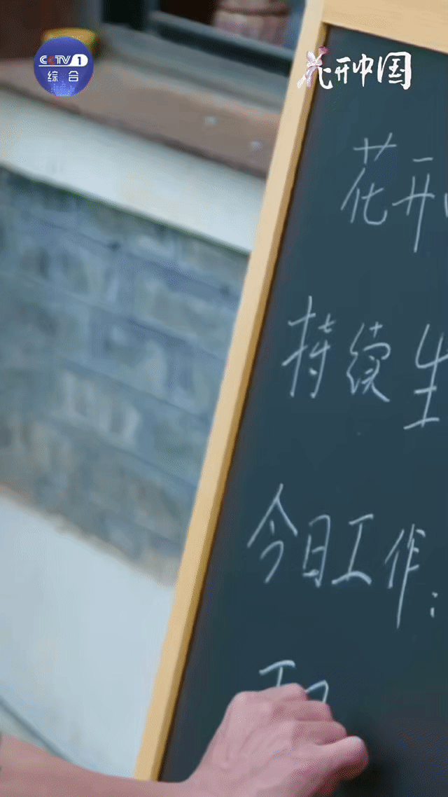 撒贝宁撤回了一个下班 写“下班”是仪式感，干活才是真本色。撒老师种花超卖力，汗流