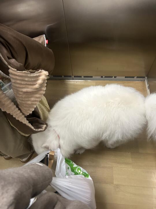 “人 麻烦让一让”