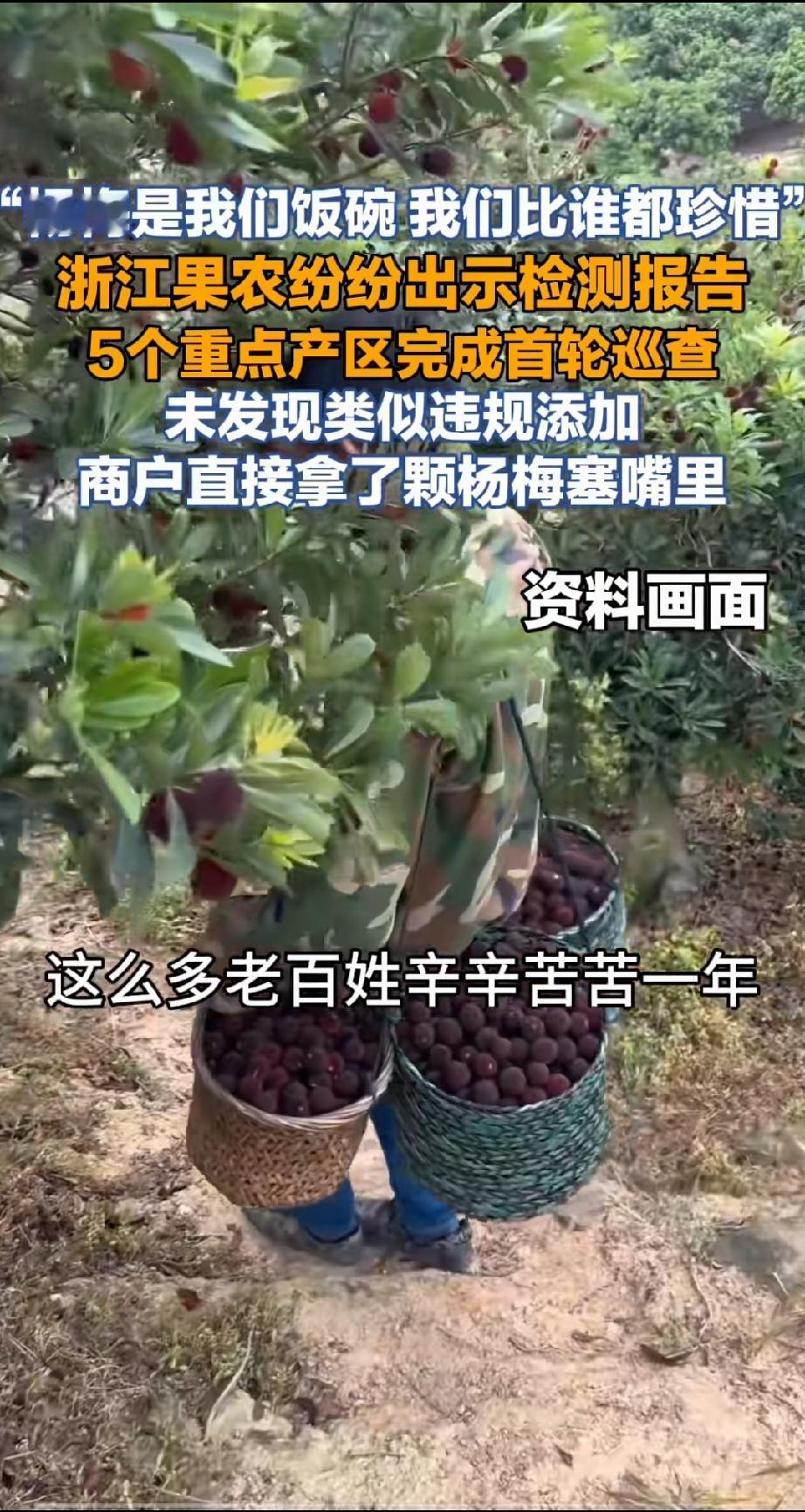 本来就是看天吃饭的浙江杨梅农民，现在居然还被邻省“泡药杨梅”的人祸给影响！
看到