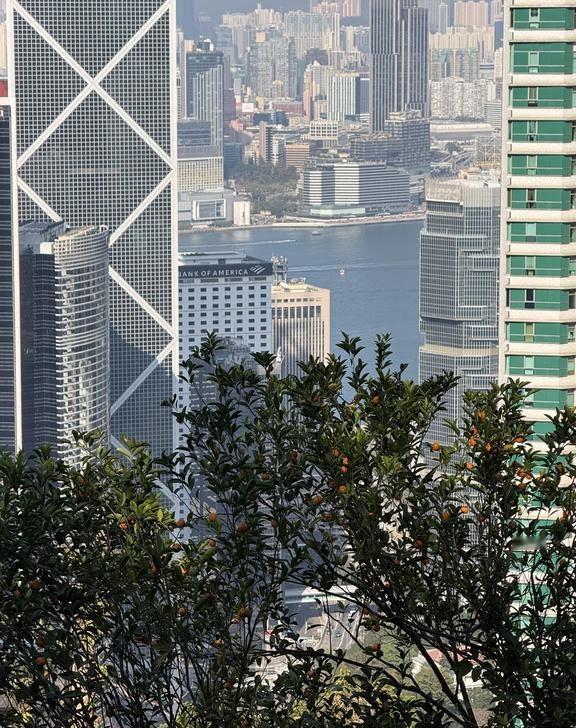 🇭🇰香港日常｜周末听风声穿过太平山
假如时间有回响，在历史的褶皱里，窥见的真