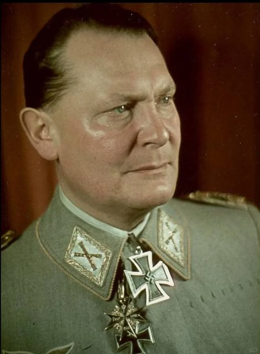 赫尔曼·威廉·戈林（德语：Hermann Wilhelm Göring，1893...