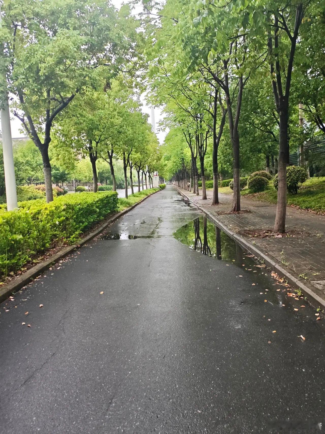 高温之后又开始乱穿衣了常言道：二四八月乱穿衣，说的正是现在！有穿短袖的，也有穿的