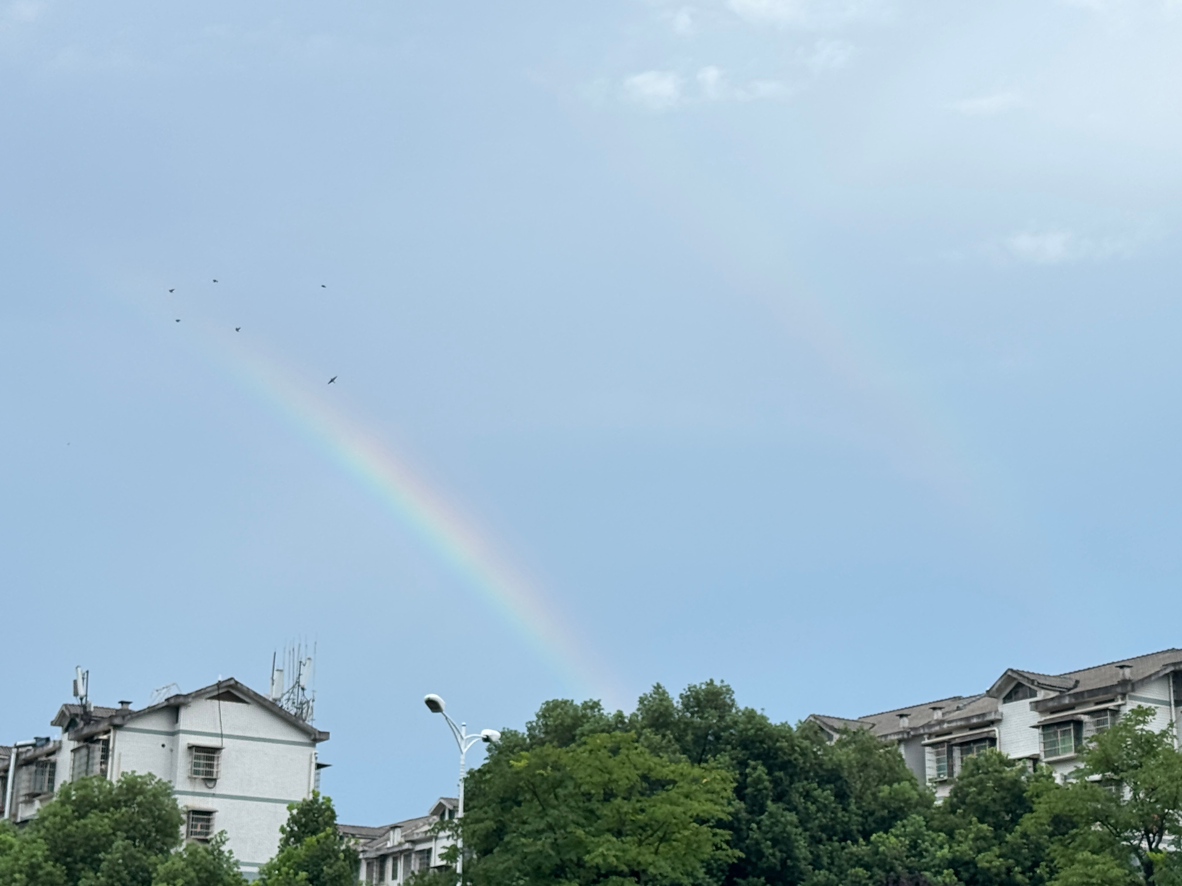 接收好运～🌈 