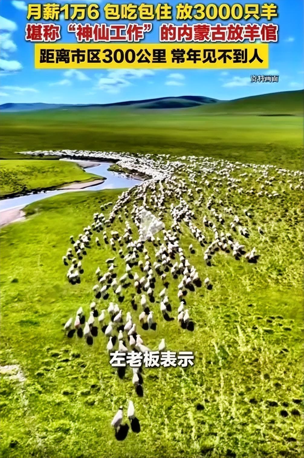 月薪1.6万招放羊工！老板回应：电话快被打爆了，工资预算一年20万，更适合四五十