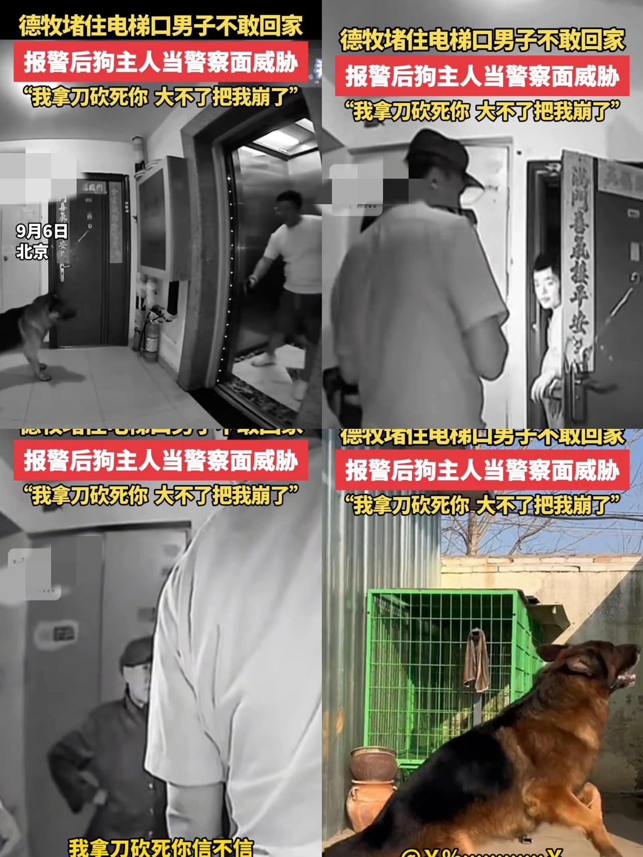 这下出名了，
不仅北京，全国人民都知道了，
谁能想到，男子回家遭德牧拦路，报J后