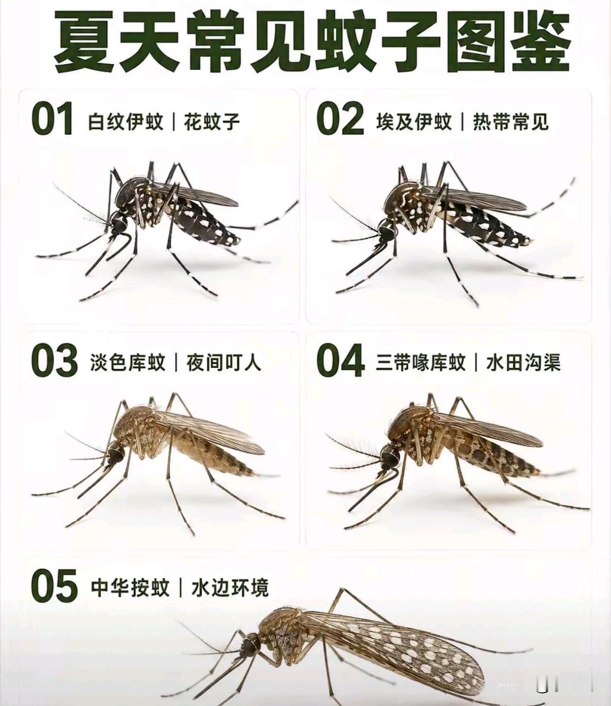 夏天最恼火的时刻到了  你最烦哪一种