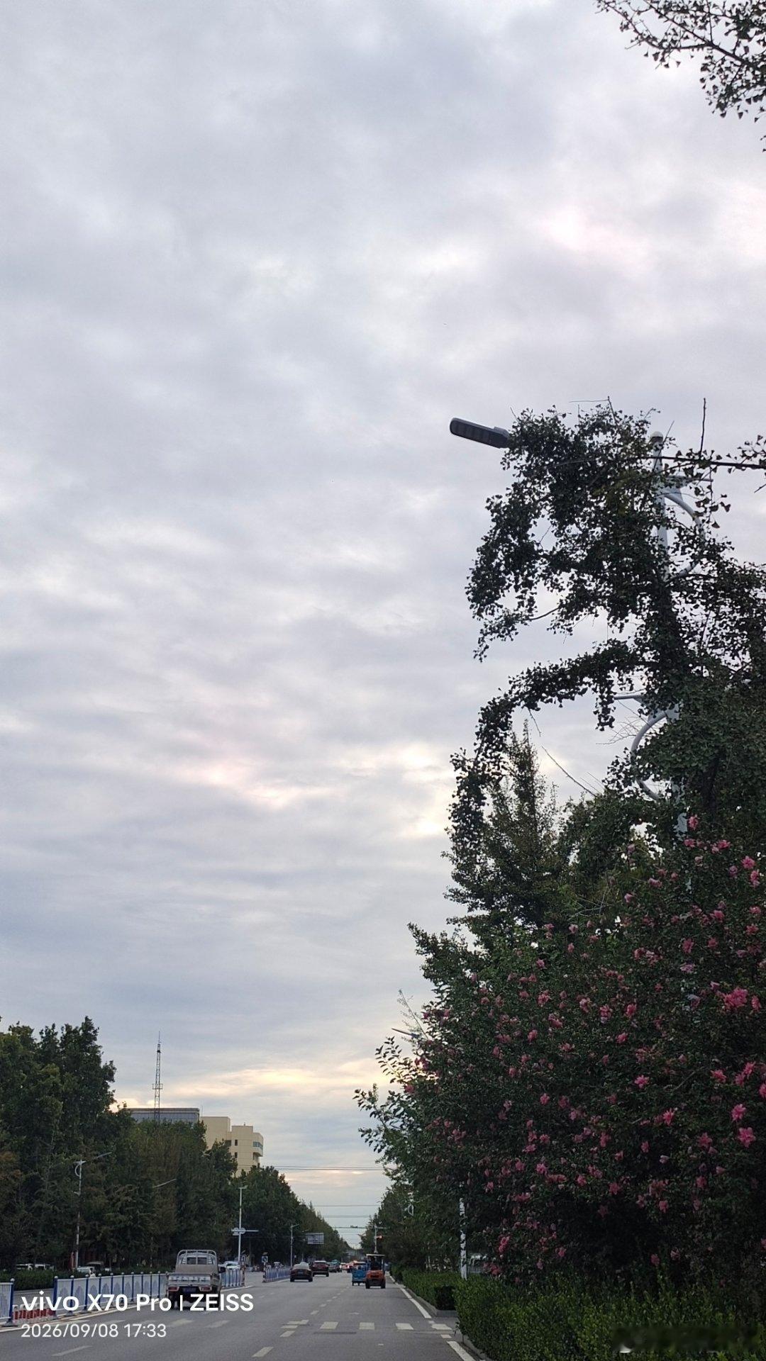 vivo[超话] 一场雨换来了一天的凉爽，凉的都穿外套了。记录生活手机随手拍 ​
