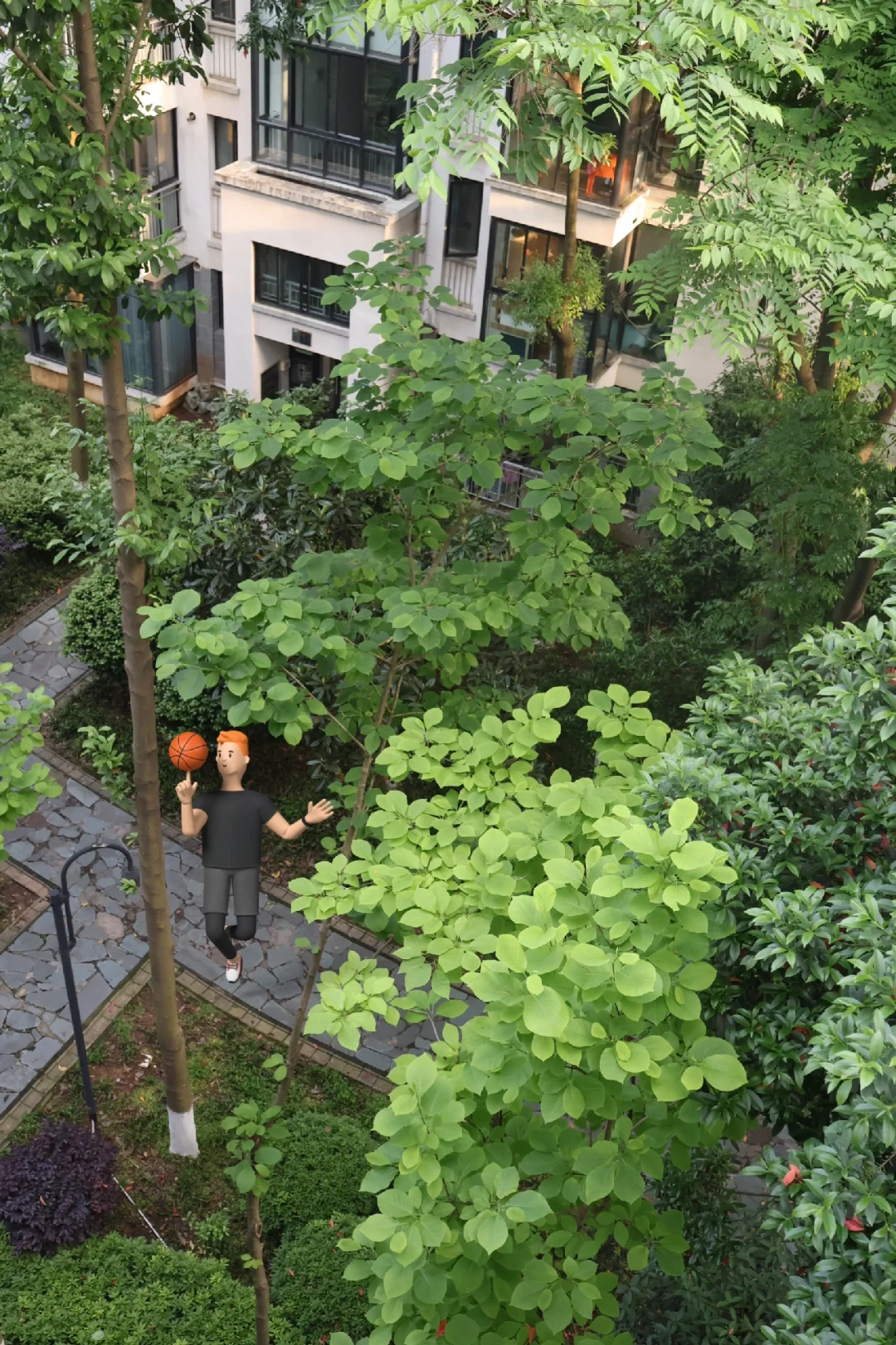 网友说我家是青春剧男女主的家