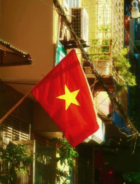 什么叫身体很诚实？越南人表现得淋漓尽致。据统计，外嫁中国的女性，越南排名第一，有